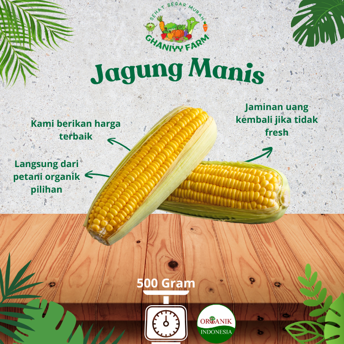 

Sayur Organik Jagung Manis Organik 500 Gram