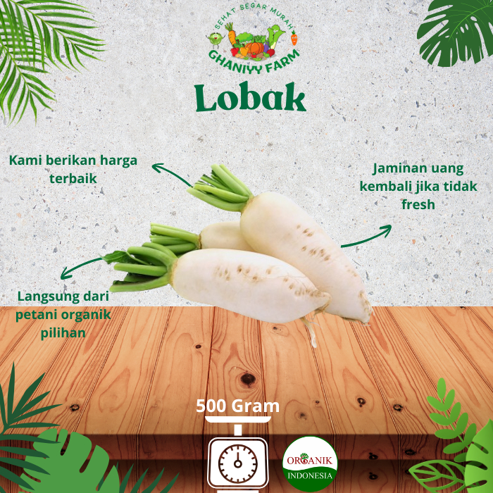 

Sayur Organik Lobak Putih Organik 500 Gram