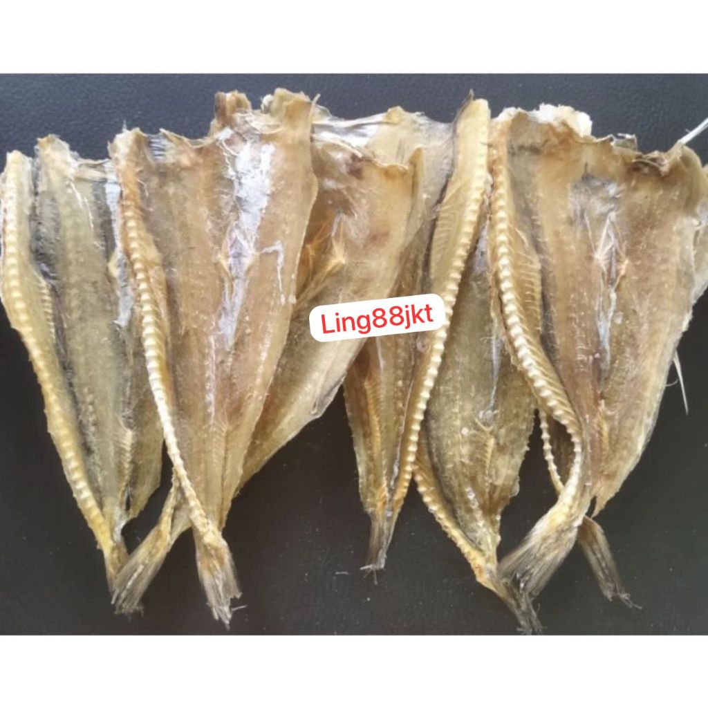 

Ikan Asin Siting Keping dan Siteng Keping Bulat Jambrong Kiteng Siting / ikan asin Si ting / Keping 50GRAM