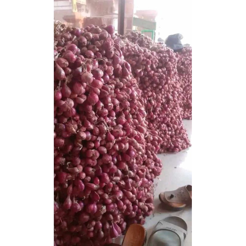 

BAWANG MERAH BREBES I BAWANG MERAH MURAHIBAWANG MERAH TERBAIK 500 grI GARANSIKERING
