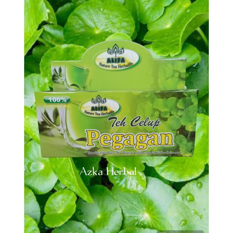 

Teh Celup Herbal Daun Pegagan