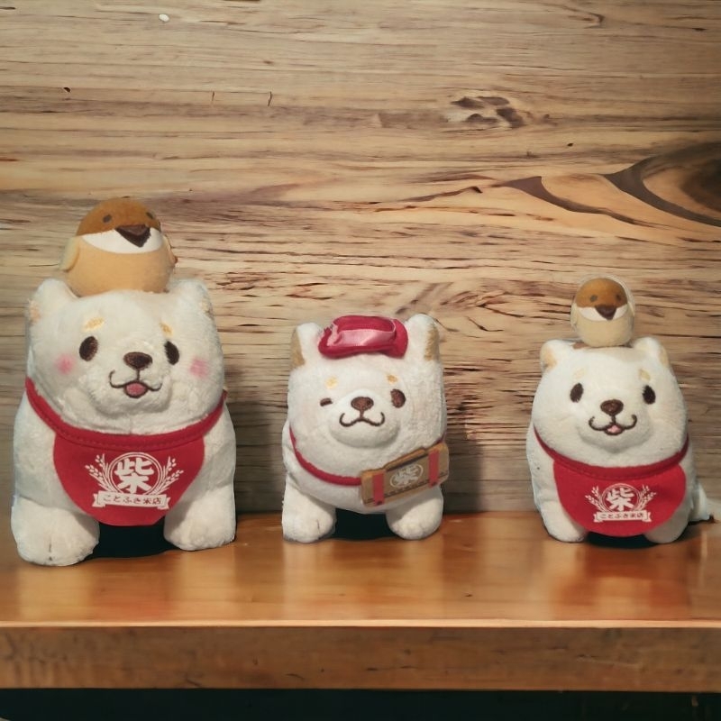 Shiba Celemek Sk Japan