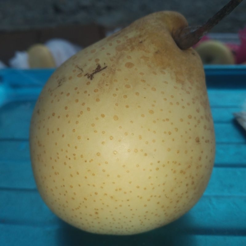 

buah pear pir yalie manis murah fresh 1kg