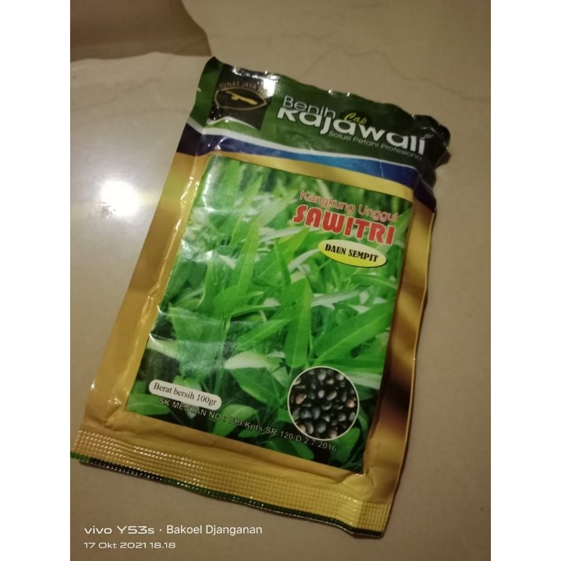 

kangkung daun sempit