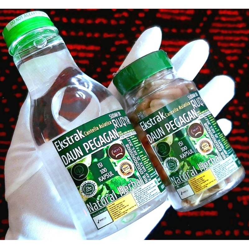 

Herbal extrak daun pegagan (isi 100 kapsul+air zamzam asli 250ml) | KECERDASKAN OTAK ANAK/PENAMBAH DAYA INGAT KUAT