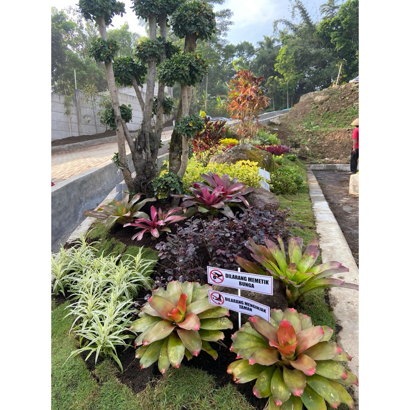 Jasa Pembuatan Taman | Taman Minimalis | Taman Rumah Minimalis