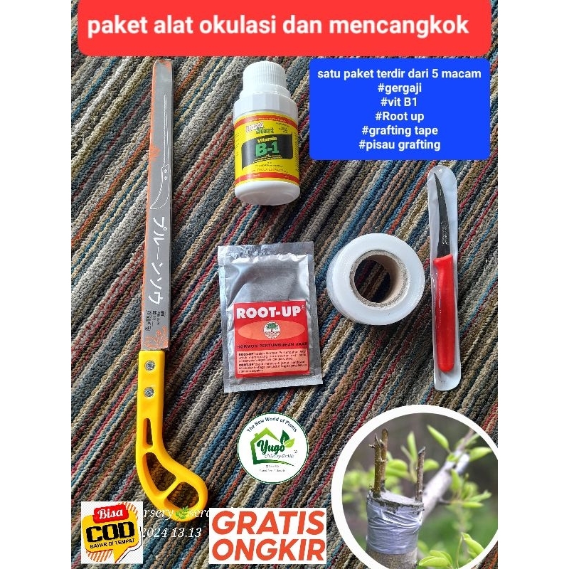 Paket Lengkap Alat Okulasi dan Grafting Gergaji Vit B1 Root up okulasi tape pisau grafting