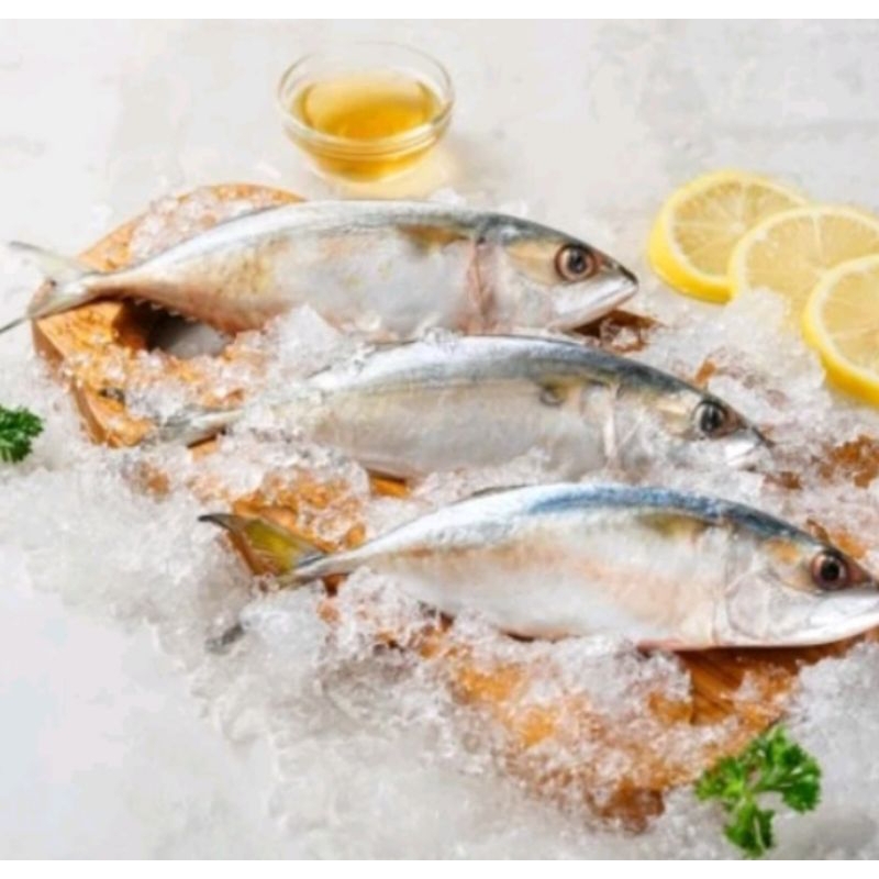 

Ikan Kembung Banjar