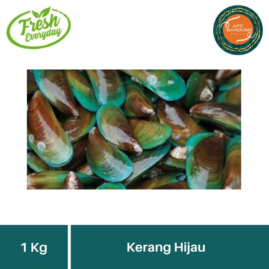 

KERANG HIJAU HIDUP 1kg/500gr KERANG IJO Scallops