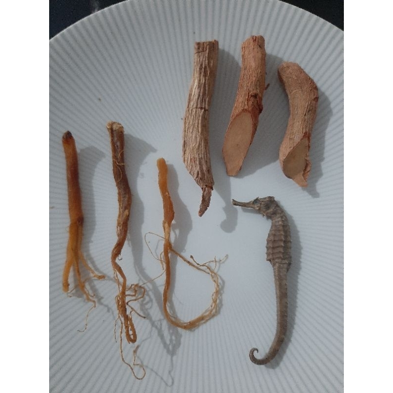 

Akar ginseng merah 3pcs + Akar tongkat ali 3 KL Hai Ma 1pcs