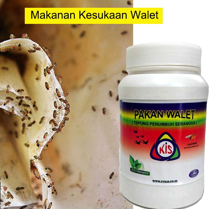 Pakan walet menghasilkan lalat buah untuk makanan walet ukuran 500G