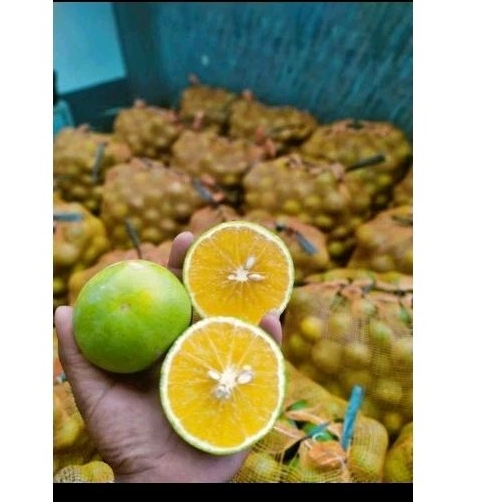 

JERUK BABY PACITAN | 1KG | Pusate Buah