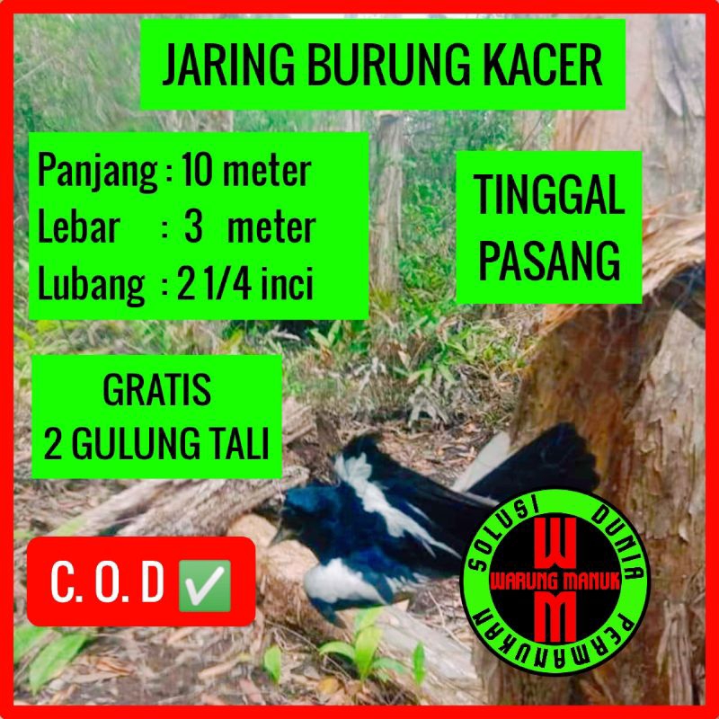 JARING BURUNG KACER 10 meter JARING BURUNG KACER JARING BURUNG KUTUT JARING BURUNG TILANG JARING BUR