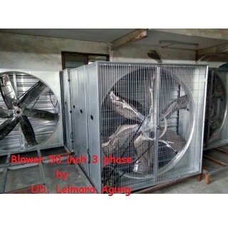 Blower/box fan 50 inch kandang/gudang/gedung 1   phase