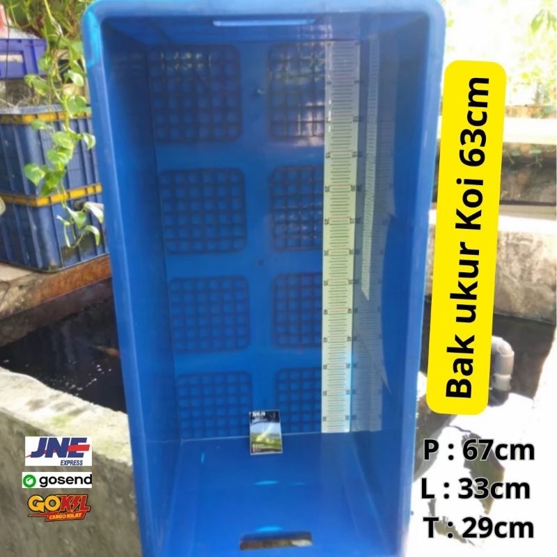 BAK UKUR IKAN KOI 63cm  + STIKER UKUR ANTI AIR  P 67cm T 29cm L 33cm BAHAN BOX PLASTIK BOX REPTIL IK