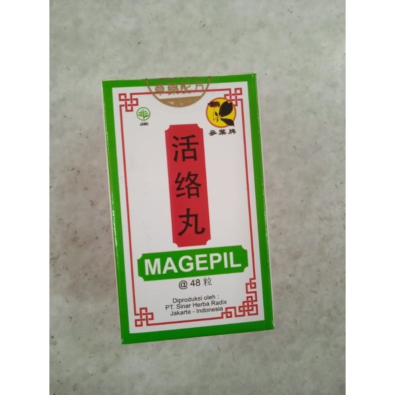 Magepil Huo Lo wan obat sakit nyeri sendi rematik asam urat herbal China