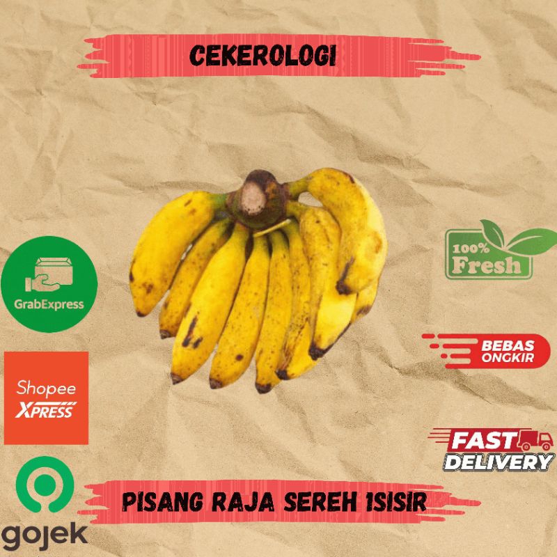 

Pisang Raja Serah 1sisir / Pisang Raja Sereh / Pisang Raja / Pisang Serah / Pisang Raja / Pisang Raja Serah Fresh Berkualitas / JABODETABEK / Pisang / Buah Pisang / Buah / Buah Buahan