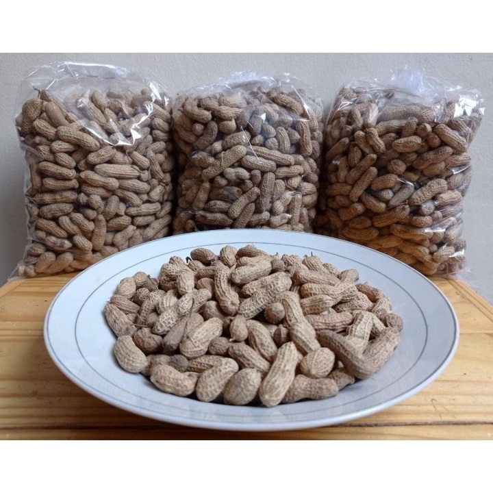 

Kacang Kulit Sangrai Gurih Renyah 250gr Snack Camilan Cemilan Jajanan Viral