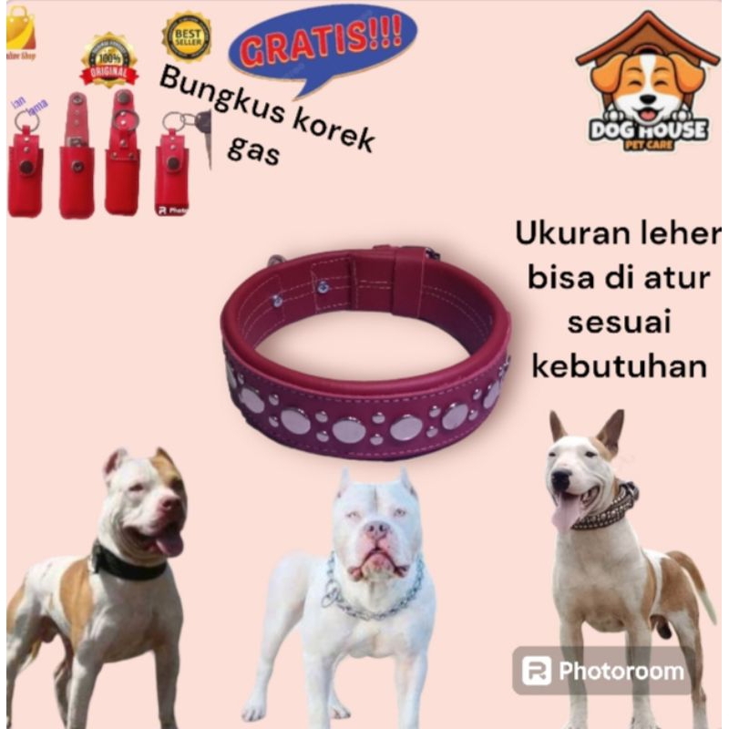 kalung anjing, aksesores leher, anjing pemburu dewasa, kulit, oskar, selayang, kampung, ras dll