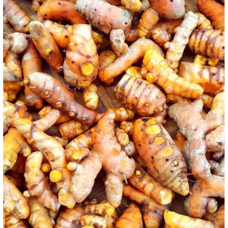

Kunyit per kg