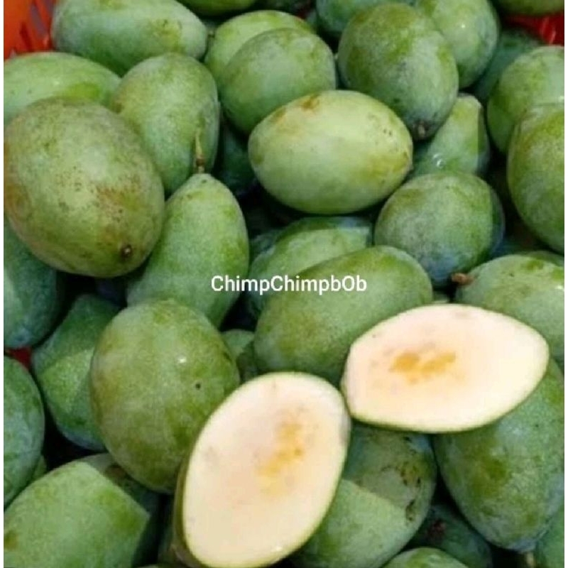 

MANGGA MADU MATANG POHON 1 KG SEGAR