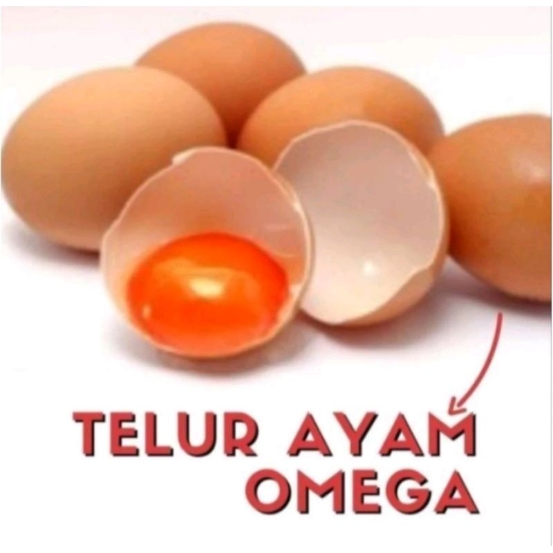 Telur ayam negeri 1kg, Telur ayam omega