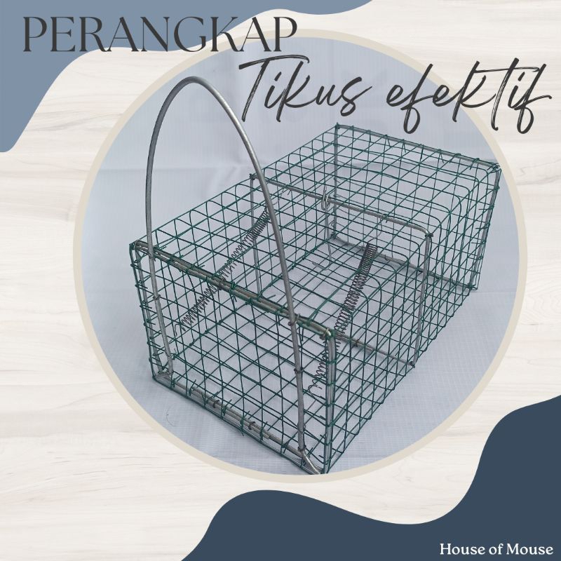 [Free Spray Pengusir Tikus] Perangkap Tikus Paling Efesien Dan Praktis / Jebakan Tikus Ampuh Dan Efe