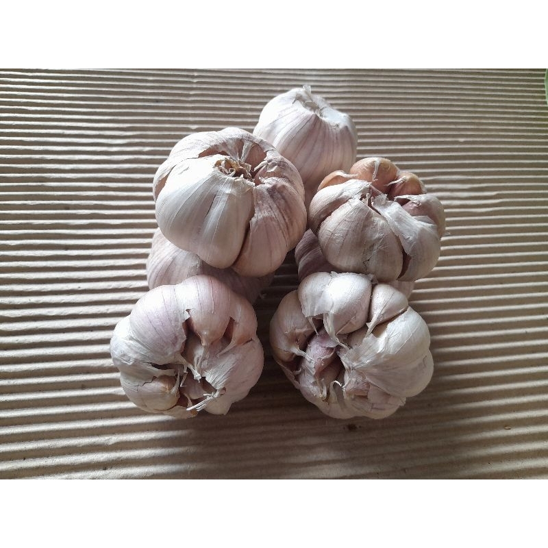

Bawang Putih berat bersih 250 gram