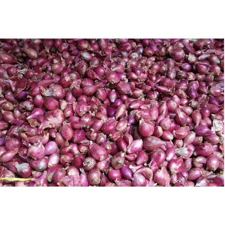 

Murah Bawang Merah Besar 1kg Berkualitas Super