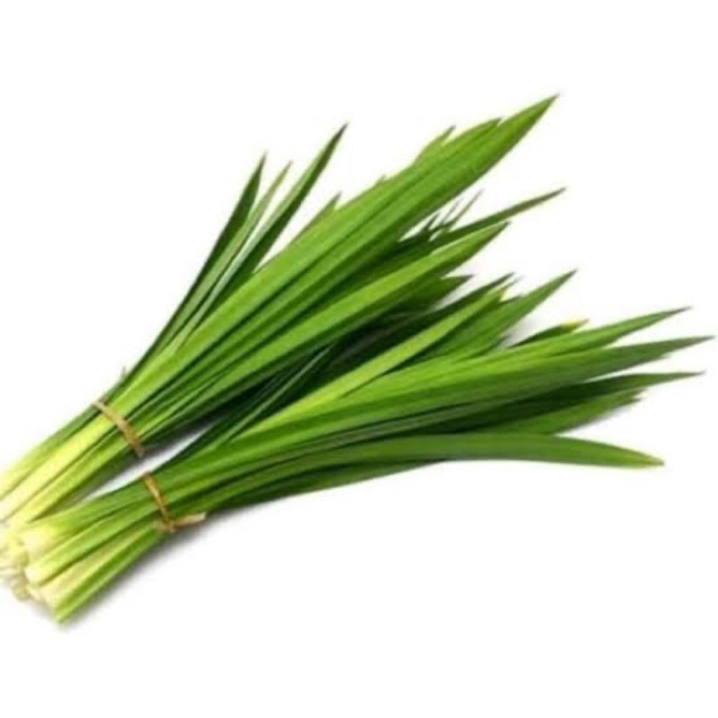 

Daun pandan segar petik langsung