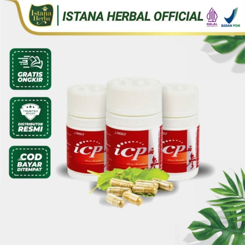 ICP CAPSULE Original Obat Herbal Kesehatan Jantung Paling Mujarab 30 Kapsul