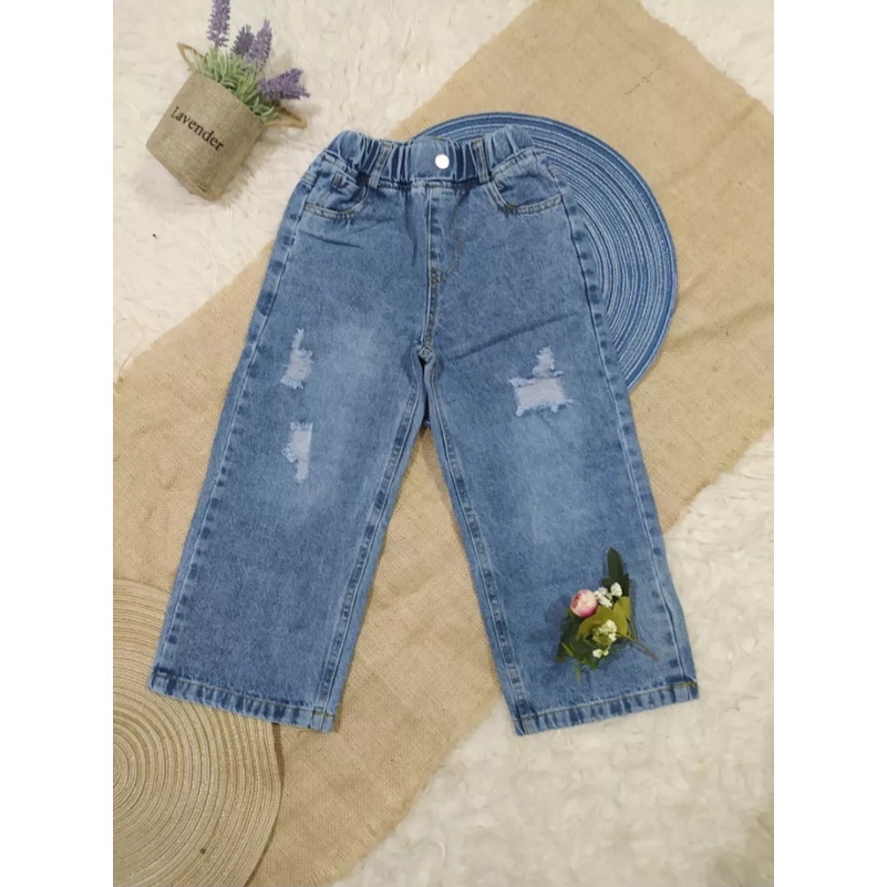 Celana Jeans Ripped Anak umur 1-14 Tahun / Celana Panjang Ripped Anak / Celana Ripped Jeans Anak / C