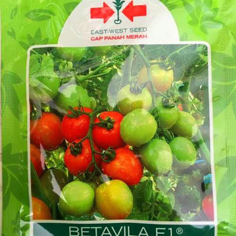 bibit tomat Betavila - (5Gr) benih tomat menengah Cod/
