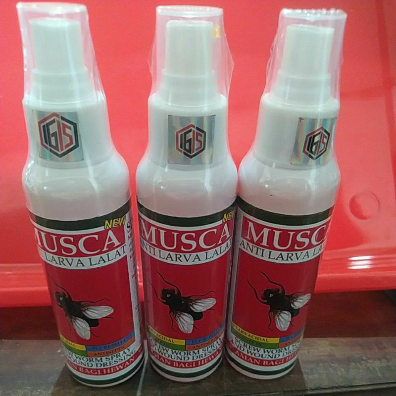 Anti larva dan lalat MUSCA