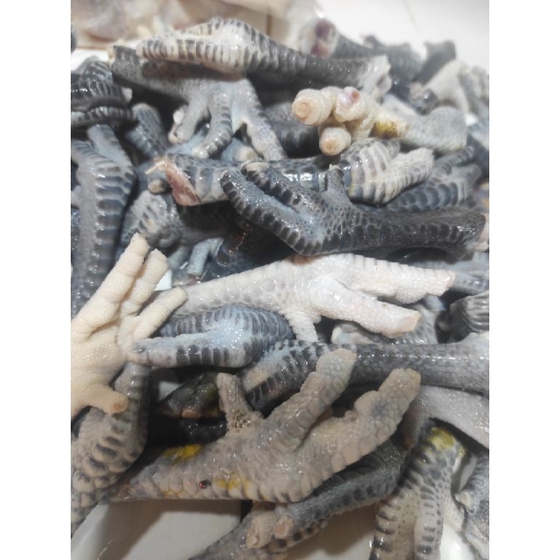 

CEKER AYAM KAMPUNG ORGANIK BERSIH&KUKU SDH DIPOTONG / JAMIN SEGAR