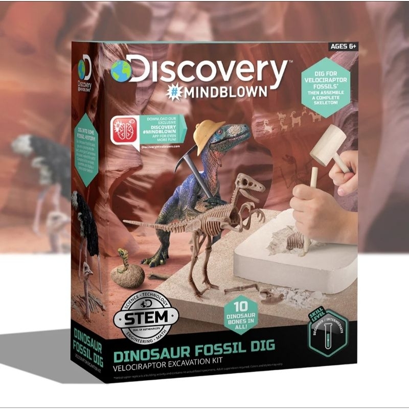 DISCOVERY MINDBLOWN DINOSAUR FOSSIL DIG mainan fosil dino dinosaurus gali mainan edukasi
