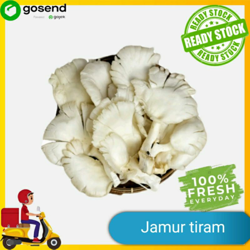 

Jamur Tiram - Sayur Segar Palembang