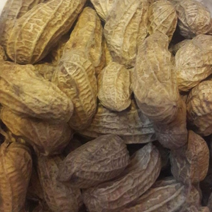

kacang sangrai super 3kg