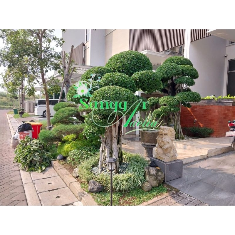 JASA PEMBUATAN TAMAN JASA RAWAT TAMAN