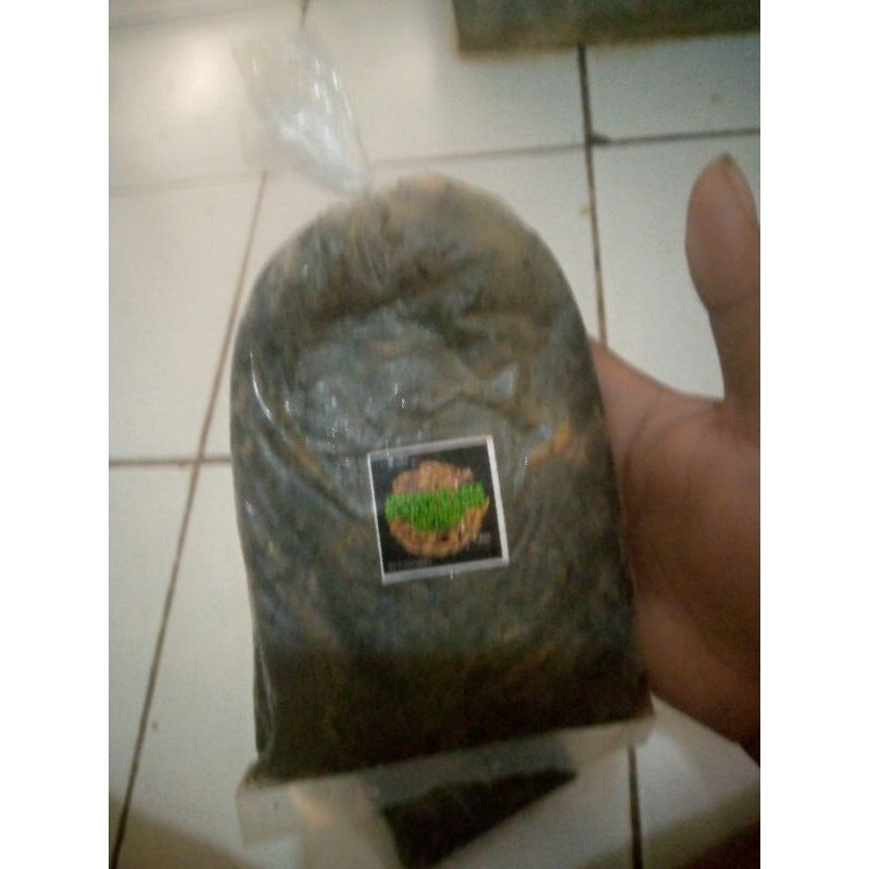 Umpan Olahan Galatama Lele Magot Lapindo Berat300gr