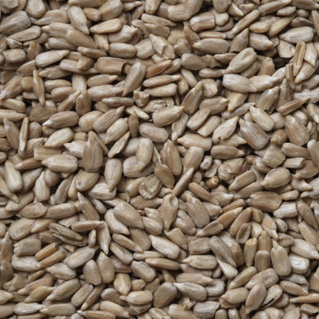 

Roasted Sunflower Seed 100 gram | Biji Bunga Matahari Kupas Premium