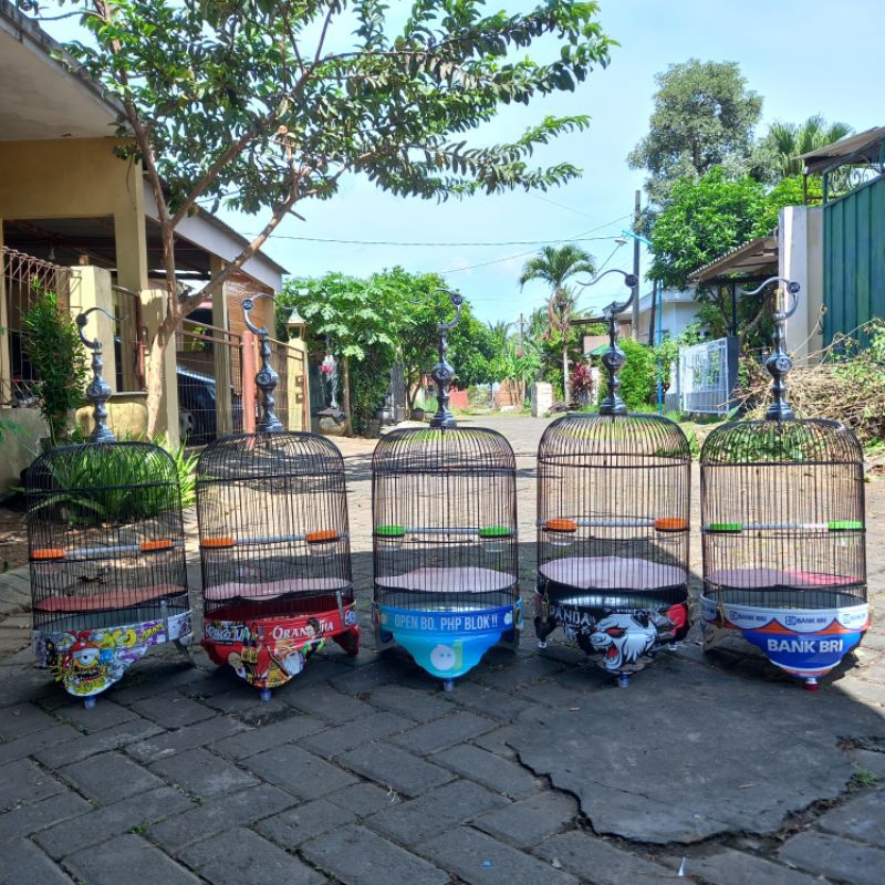 sangkar pendek lovebird/sogon