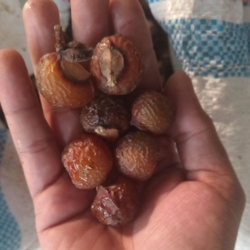 

Buah Lerak Klerek Utuh Ada Biji 1kg