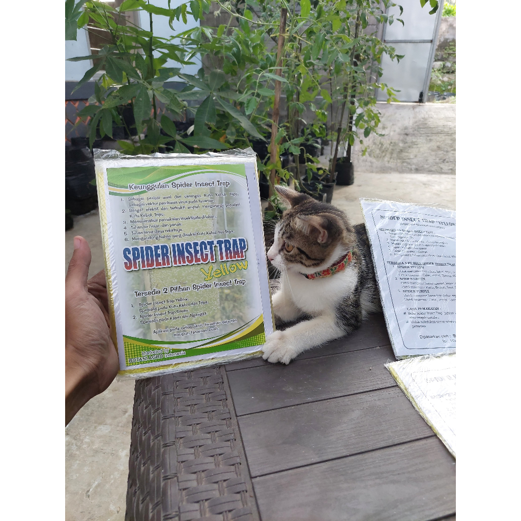 Spider Insect Trap 100 Lembar Lem Perangkap Kutu Kebul Thrips Hama Tanaman Siap Pakai