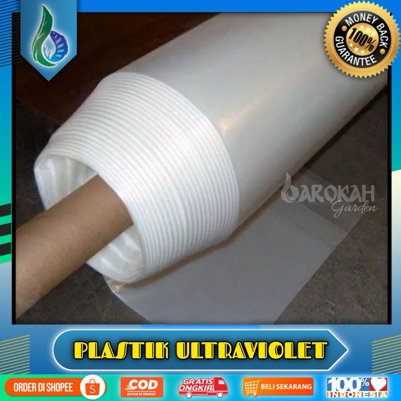 PLASTIK UV 14% TEBAL 200 MICRON GREENHOUSE HIDROPONIK