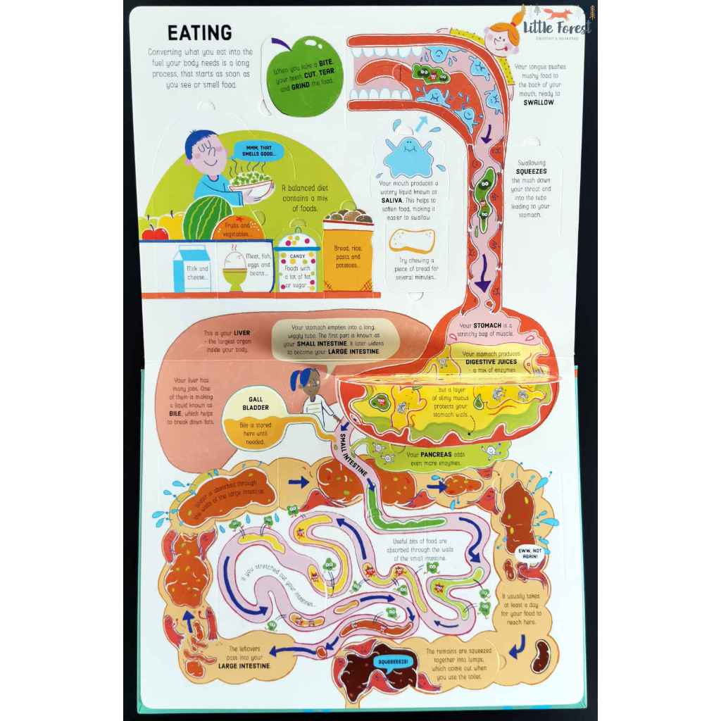 ABmart Kidnedu Buku Anak Lift the Flap See Inside / Buku Anak Lift the Flap Import