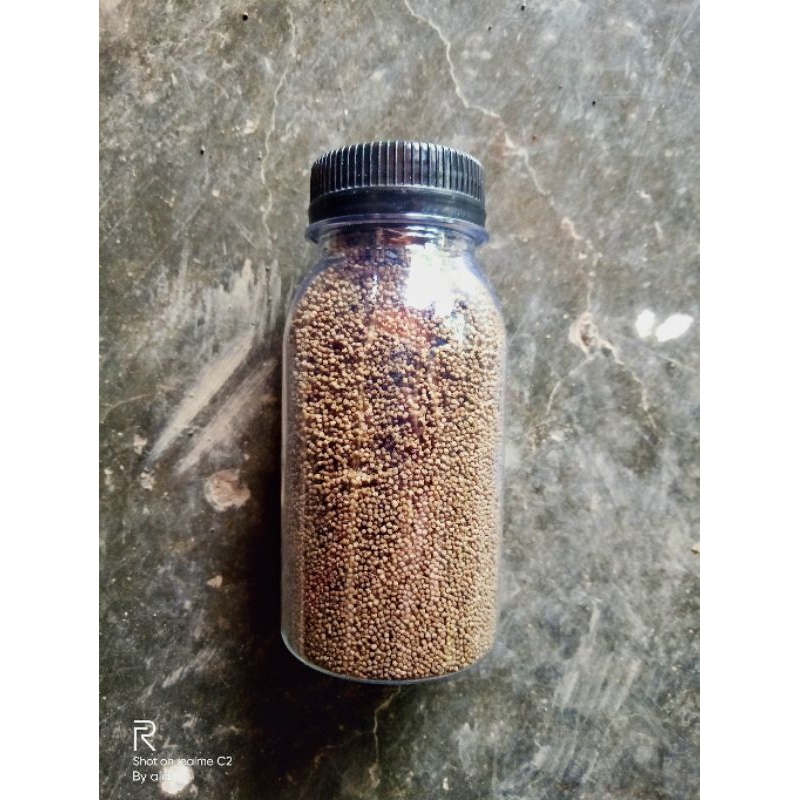 Pelet Ikan Hias PF500 untuk Cupang, Glowfish, Danio dll