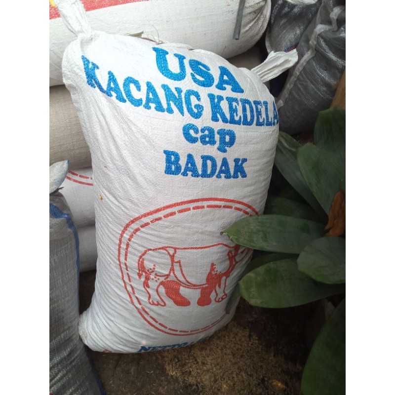 Media Sekam Mentah Murni 1 Karung Brambut Sekam Padi Karungan