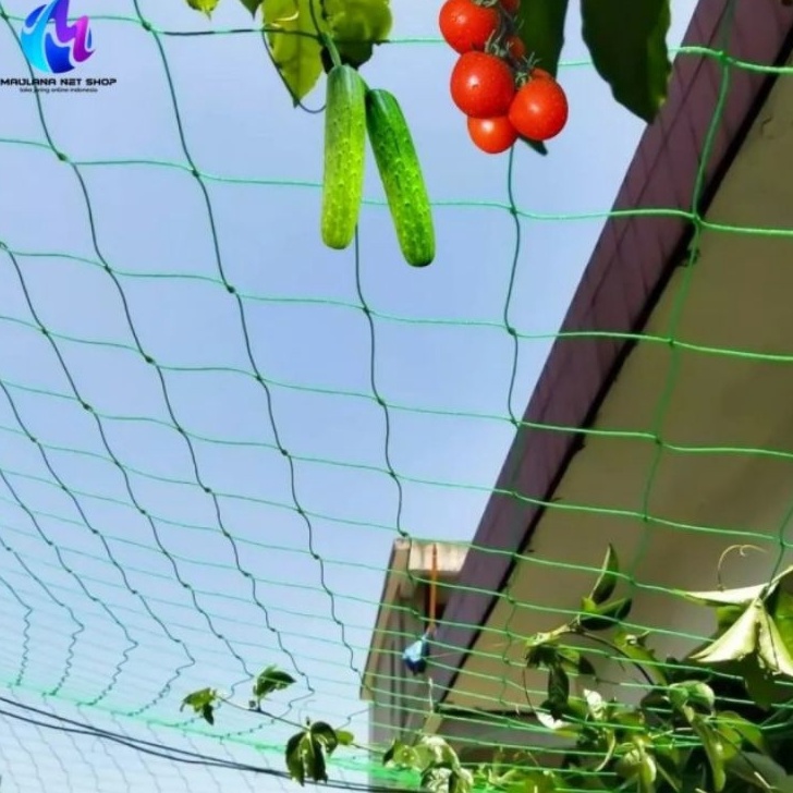 TERBARU Plant Climbing Net trellis netJaring Tanaman MerambatJaring Tanaman RambatJaring Rambat Tana