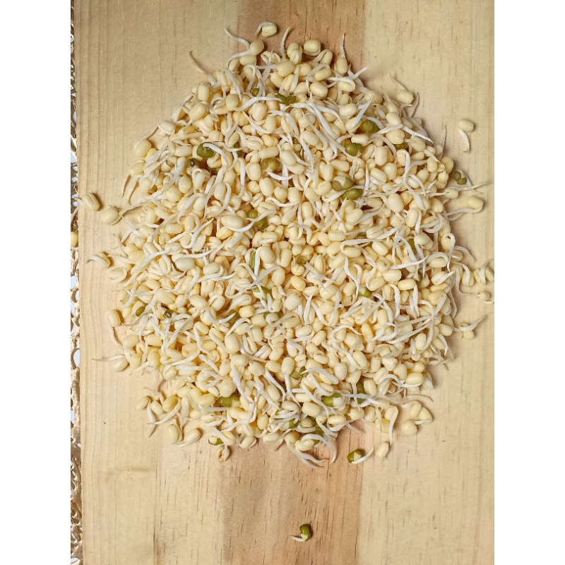 

Tauge Kecil 500 gr